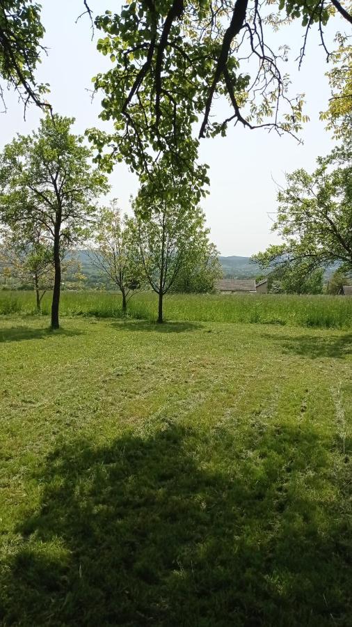 Oaza Milosci Lipinki  Exterior foto