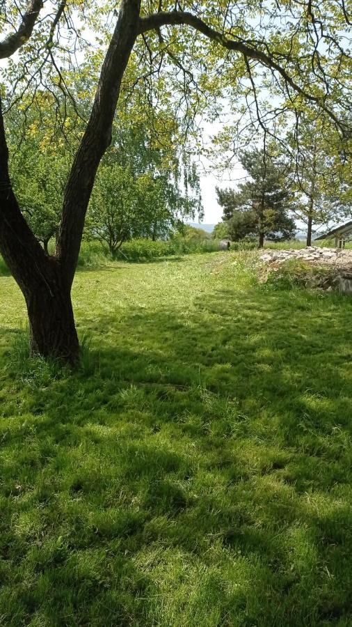 Oaza Milosci Lipinki  Exterior foto