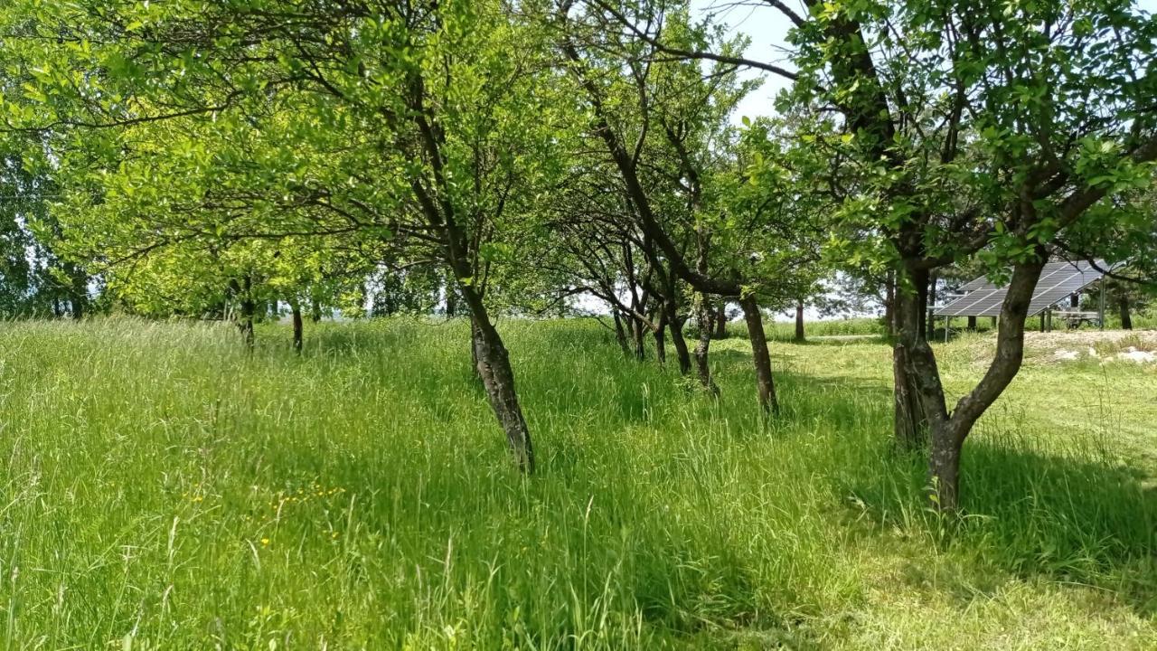 Oaza Milosci Lipinki  Exterior foto